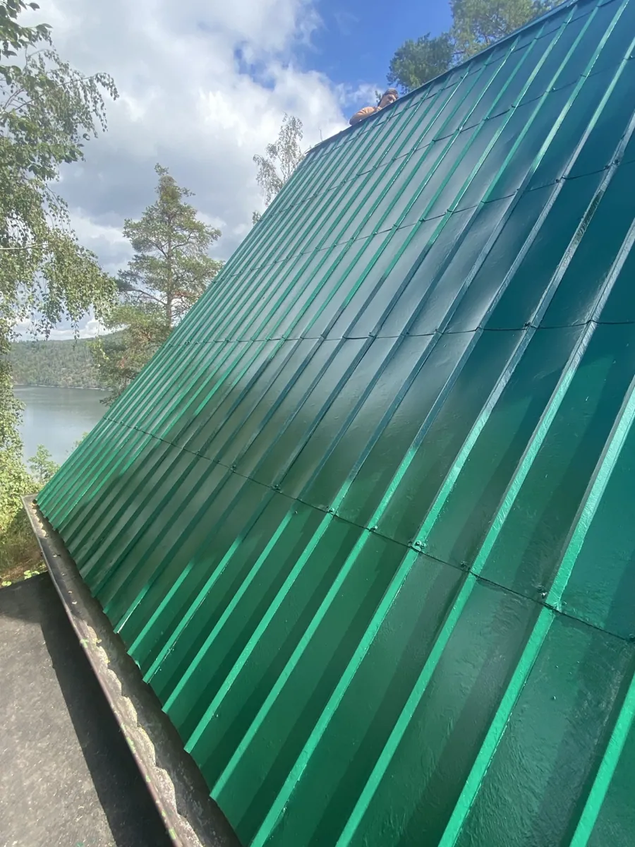 Renovace a nátěry střech